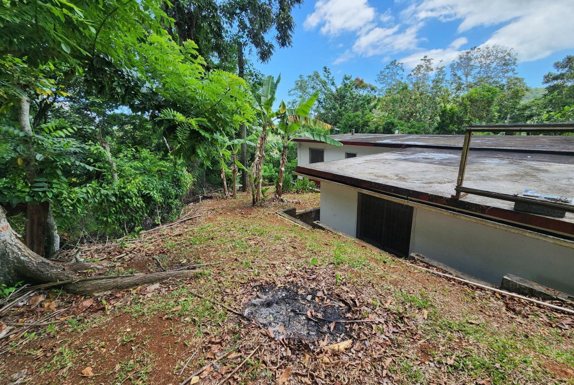 Nineteenth image of Mount Salus in Mount Salus, St. Andrew, Jamaica - property is For Sale