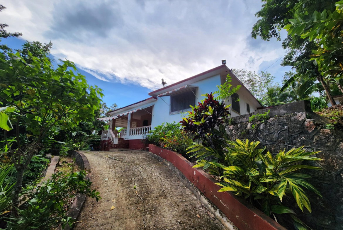 Twentieth image of Mount Salus in Mount Salus, St. Andrew, Jamaica - property is For Sale