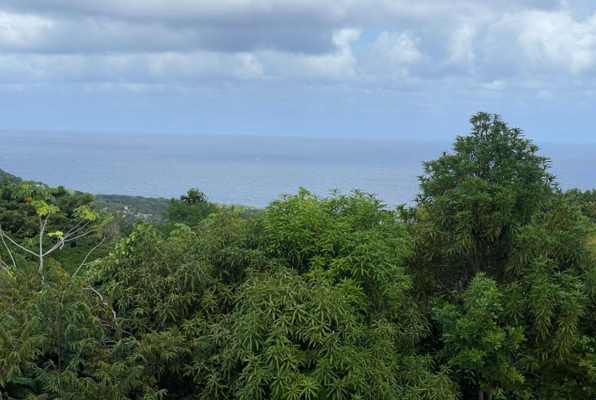 Twenty-Ninth image of Friendship, Fairy Hill in Boston, Portland, Jamaica - property is For Sale