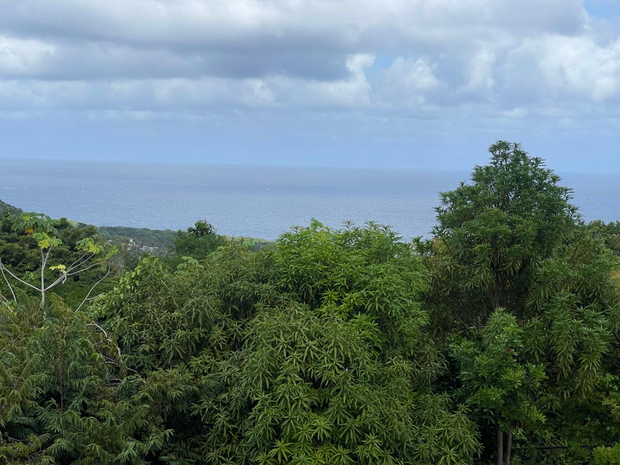 Stunning-4-Bedroom-Split-Level-Home-for-Sale-in-Friendship-Heights-Portland Twenty-Ninth image of Friendship, Fairy Hill in Boston, Portland, Jamaica - property is For Sale