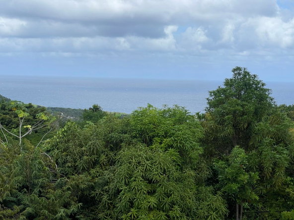 Twenty-Ninth image of Friendship, Fairy Hill in Boston, Portland, Jamaica - property is For Sale