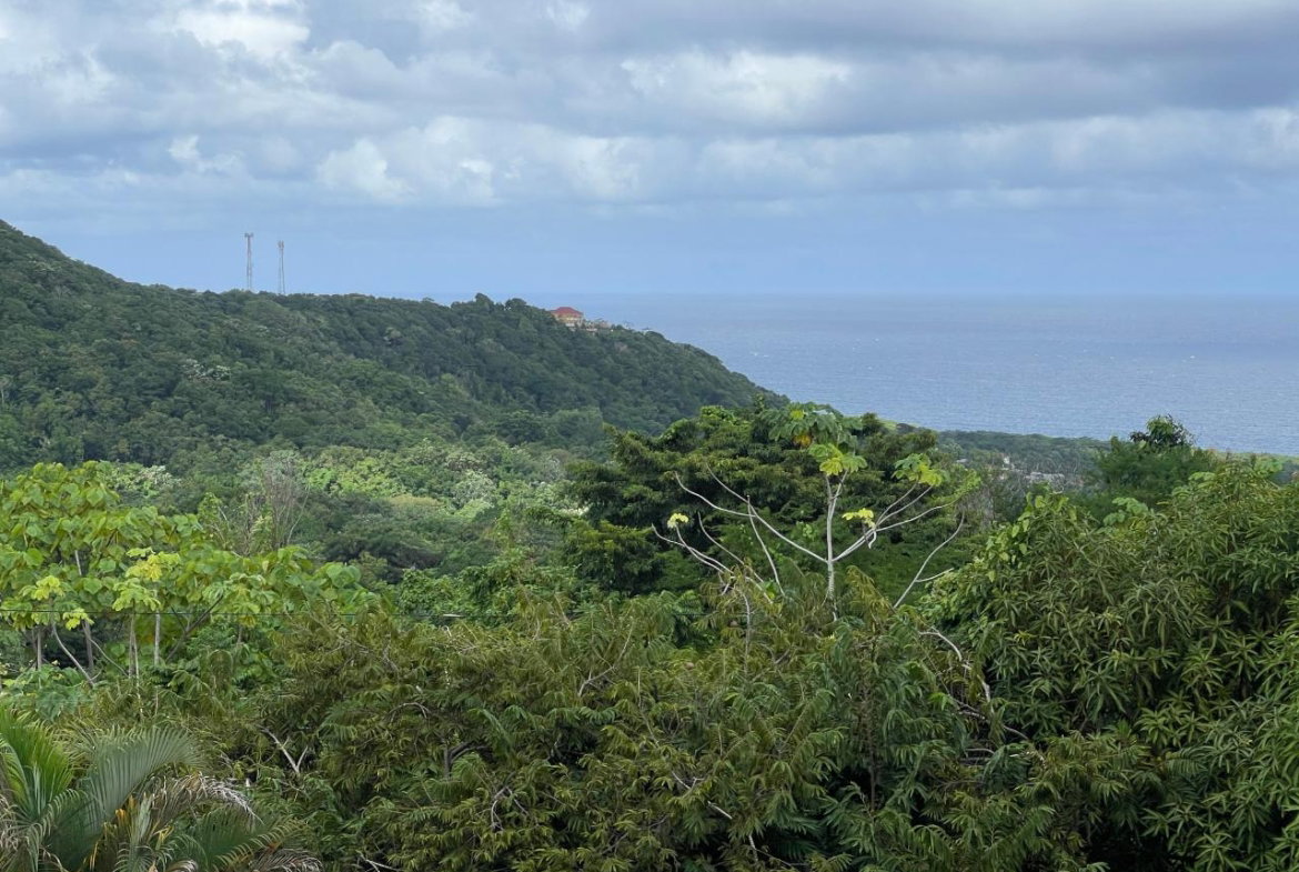 Thirtieth image of Friendship, Fairy Hill in Boston, Portland, Jamaica - property is For Sale