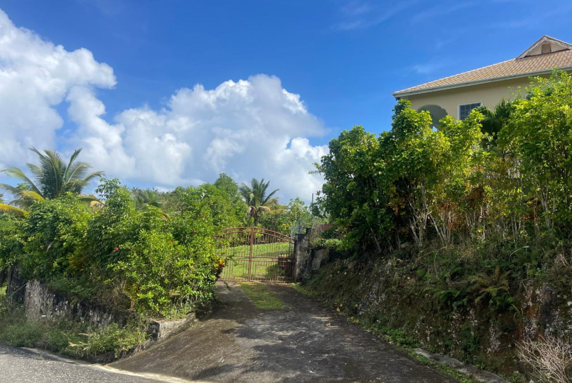 Fourth image of Friendship, Fairy Hill in Boston, Portland, Jamaica - property is For Sale