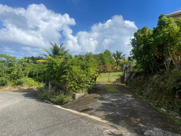 Fifth image of Friendship, Fairy Hill in Boston, Portland, Jamaica - property is For Sale