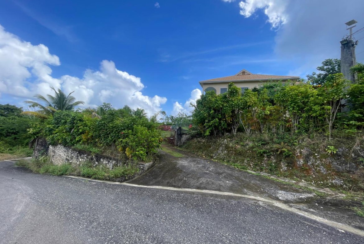 Sixth image of Friendship, Fairy Hill in Boston, Portland, Jamaica - property is For Sale