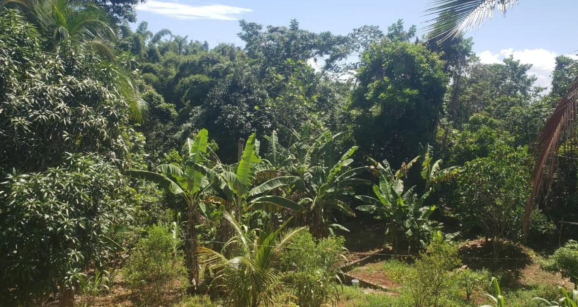Eleventh image of Main Street Guys Hill in GUYS HILL, St. Catherine, Jamaica - property is For Sale