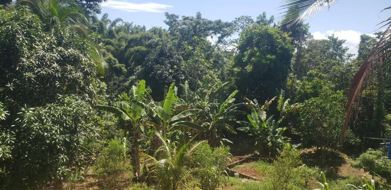 Eleventh image of Main Street Guys Hill in GUYS HILL, St. Catherine, Jamaica - property is For Sale