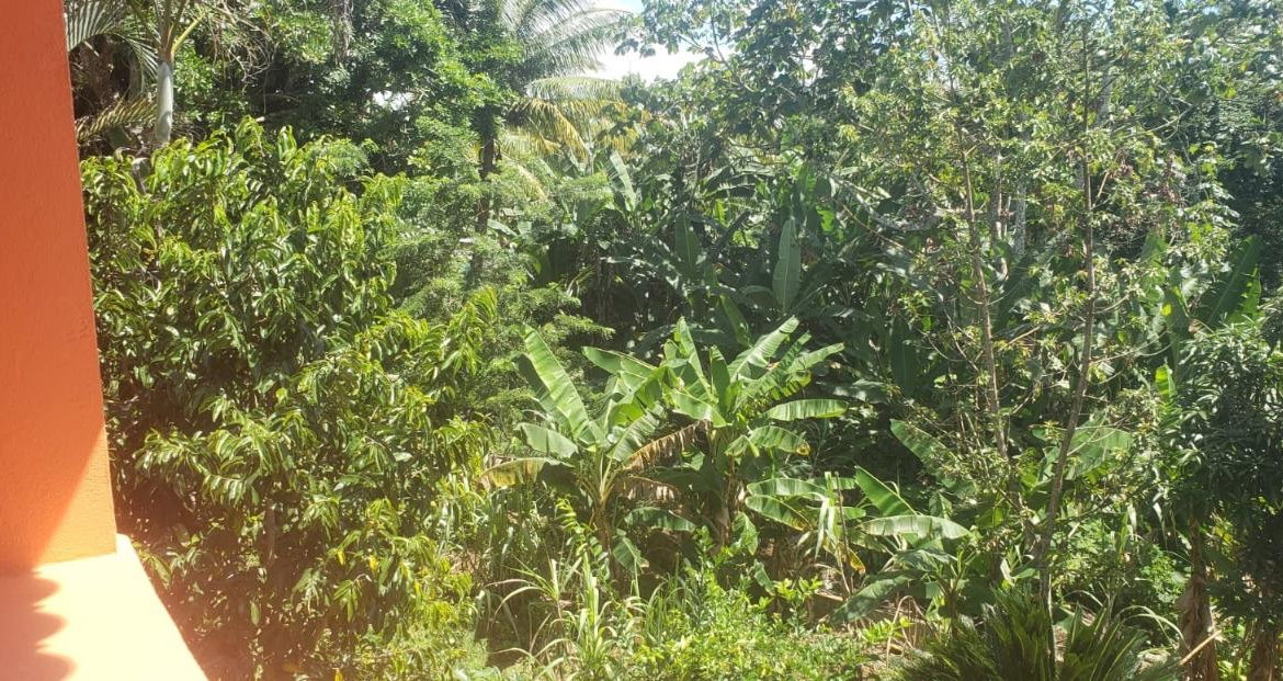 Thirteenth image of Main Street Guys Hill in GUYS HILL, St. Catherine, Jamaica - property is For Sale