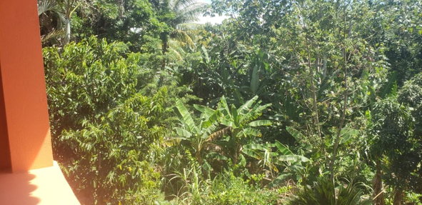 Thirteenth image of Main Street Guys Hill in GUYS HILL, St. Catherine, Jamaica - property is For Sale