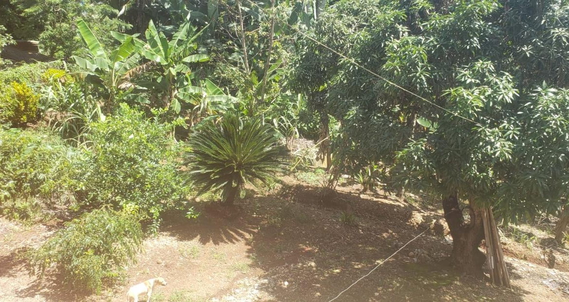 Fourteenth image of Main Street Guys Hill in GUYS HILL, St. Catherine, Jamaica - property is For Sale