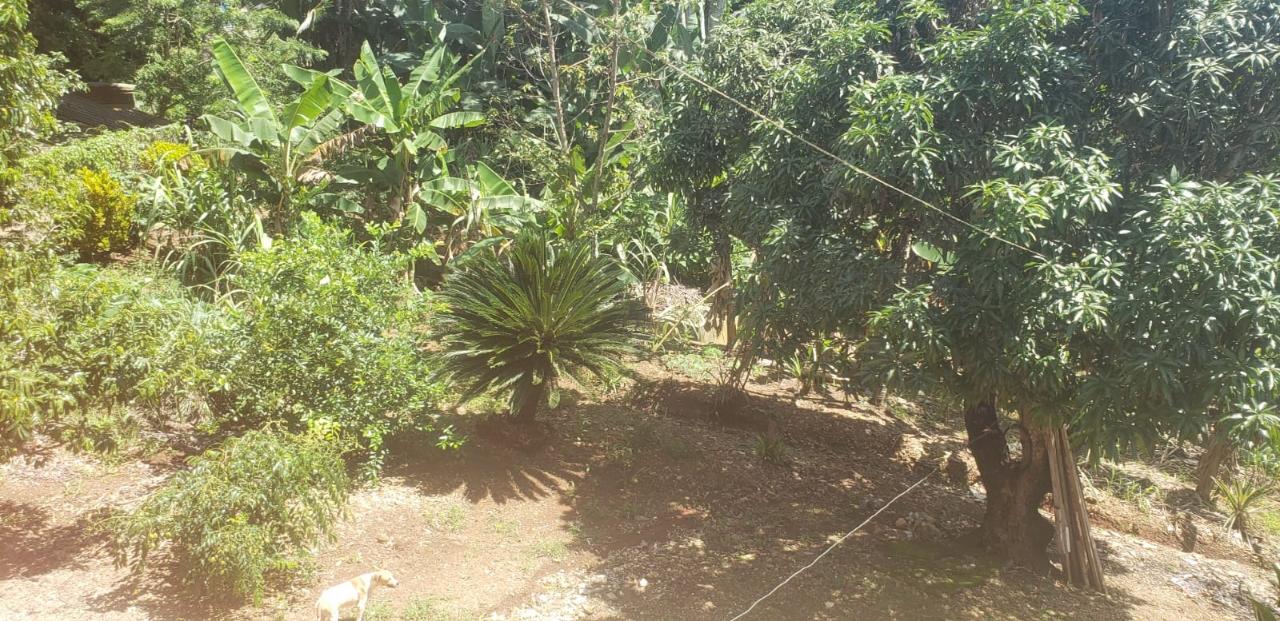 Fourteenth image of Main Street Guys Hill in GUYS HILL, St. Catherine, Jamaica - property is For Sale