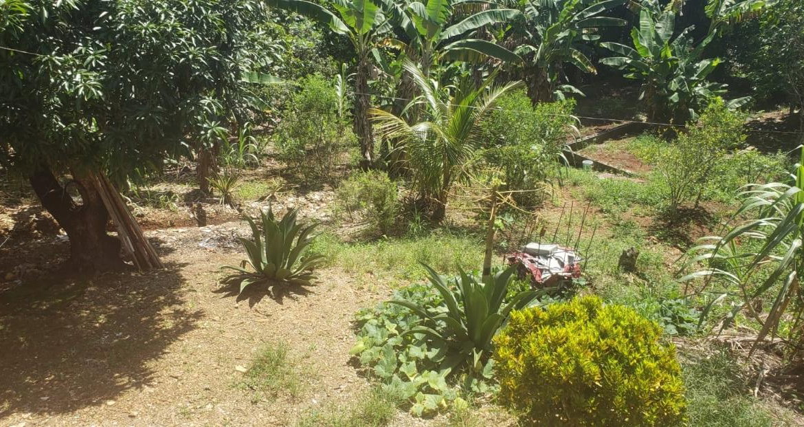 Fifteenth image of Main Street Guys Hill in GUYS HILL, St. Catherine, Jamaica - property is For Sale