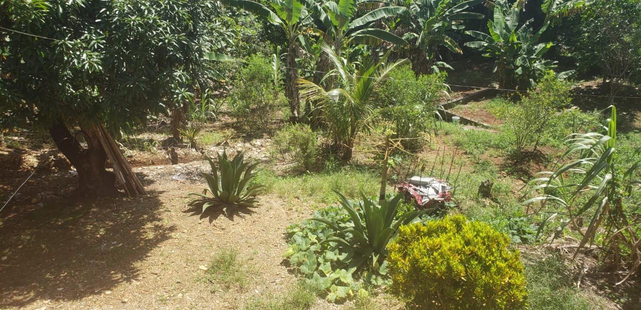 Fifteenth image of Main Street Guys Hill in GUYS HILL, St. Catherine, Jamaica - property is For Sale