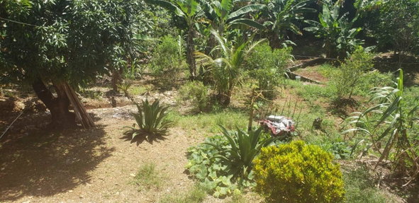Fifteenth image of Main Street Guys Hill in GUYS HILL, St. Catherine, Jamaica - property is For Sale