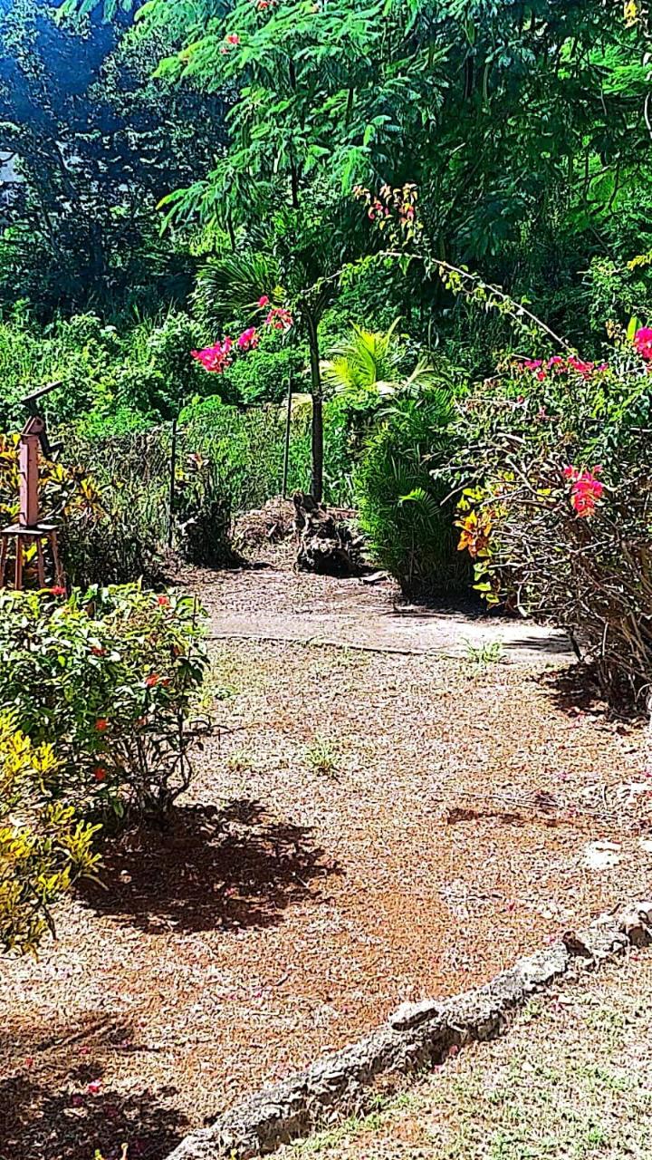 Seventeenth image of Windy Ways Wireless Stati in STONY HILL, St. Andrew, Jamaica - property is For Sale