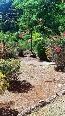 Seventeenth image of Windy Ways Wireless Stati in STONY HILL, St. Andrew, Jamaica - property is For Sale