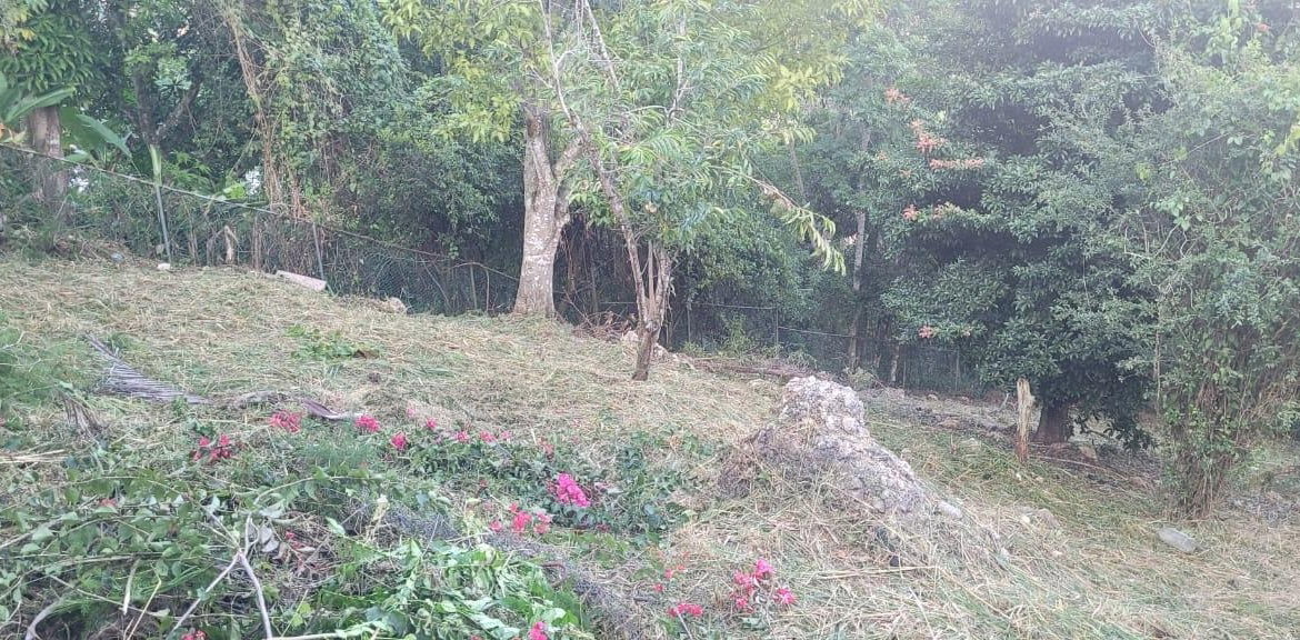 Twenty-First image of Windy Ways Wireless Stati in STONY HILL, St. Andrew, Jamaica - property is For Sale