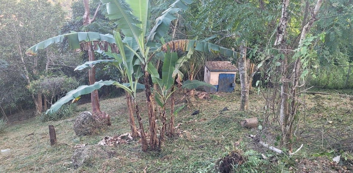 Twenty-Second image of Windy Ways Wireless Stati in STONY HILL, St. Andrew, Jamaica - property is For Sale