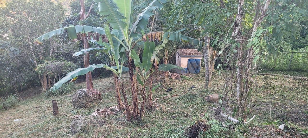 Twenty-Second image of Windy Ways Wireless Stati in STONY HILL, St. Andrew, Jamaica - property is For Sale