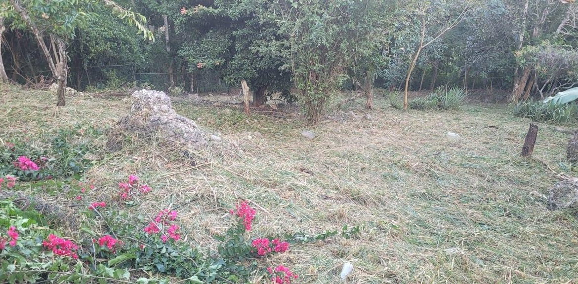 Twenty-Third image of Windy Ways Wireless Stati in STONY HILL, St. Andrew, Jamaica - property is For Sale