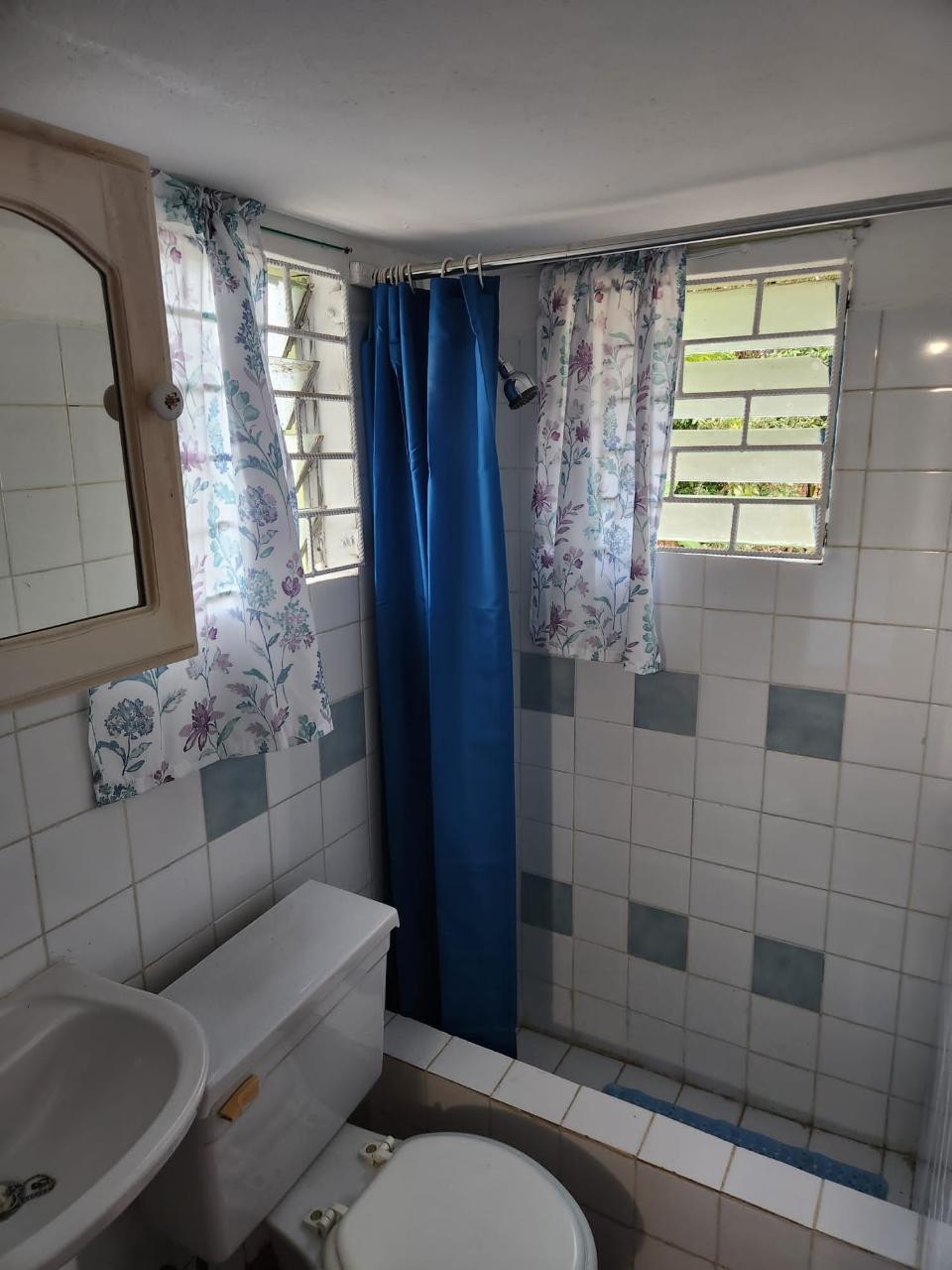 Twelfth image of Ivy District mt Rosser in Mount Rosser, St. Catherine, Jamaica - property is For Sale