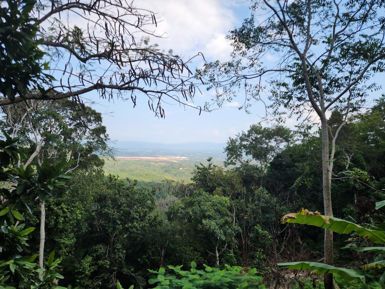 Third image of Ivy District mt Rosser in Mount Rosser, St. Catherine, Jamaica - property is For Sale