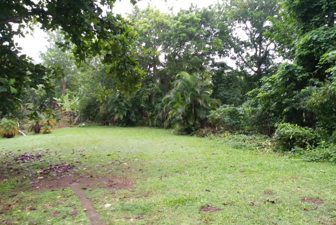 Fourth image of Cedars Mocho in Mocho, Clarendon, Jamaica - property is For Sale