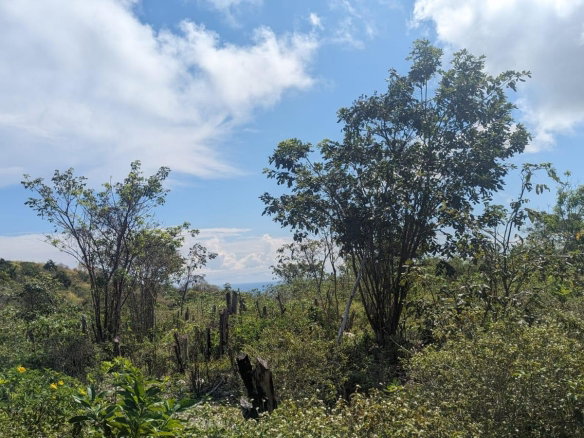 First image of 328 Green Park in Green Park, Trelawny, Jamaica - property is For Sale