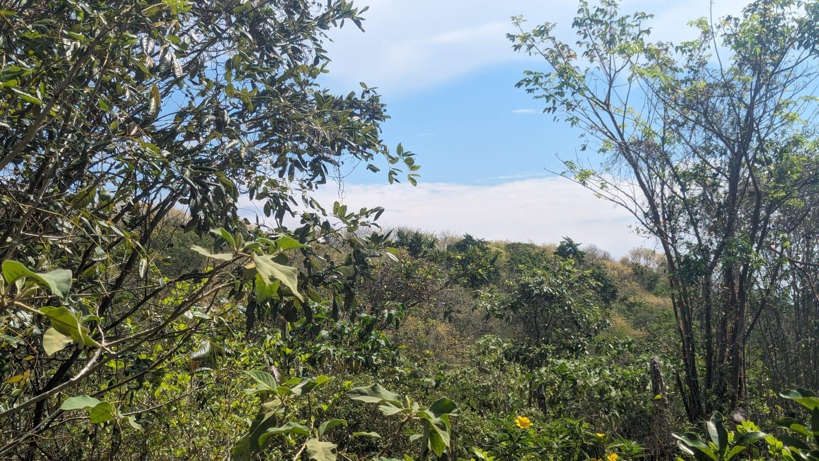 Second image of 329 Green Park in Green Park, Trelawny, Jamaica - property is For Sale