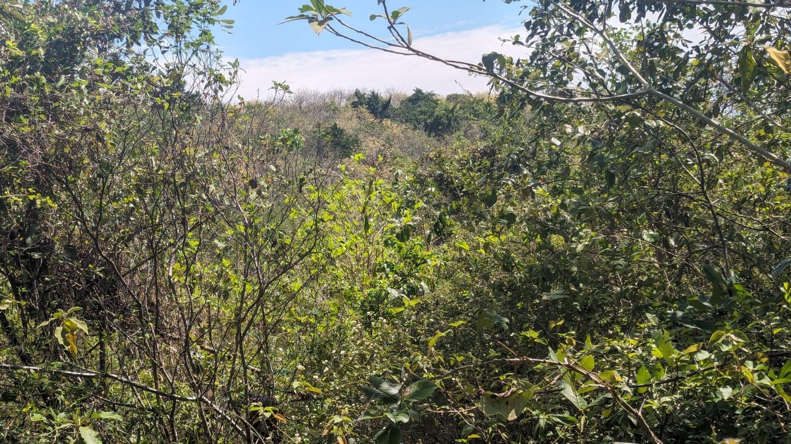 Third image of 329 Green Park in Green Park, Trelawny, Jamaica - property is For Sale