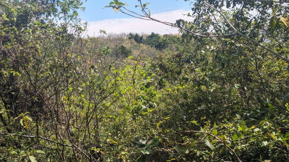 Third image of 329 Green Park in Green Park, Trelawny, Jamaica - property is For Sale