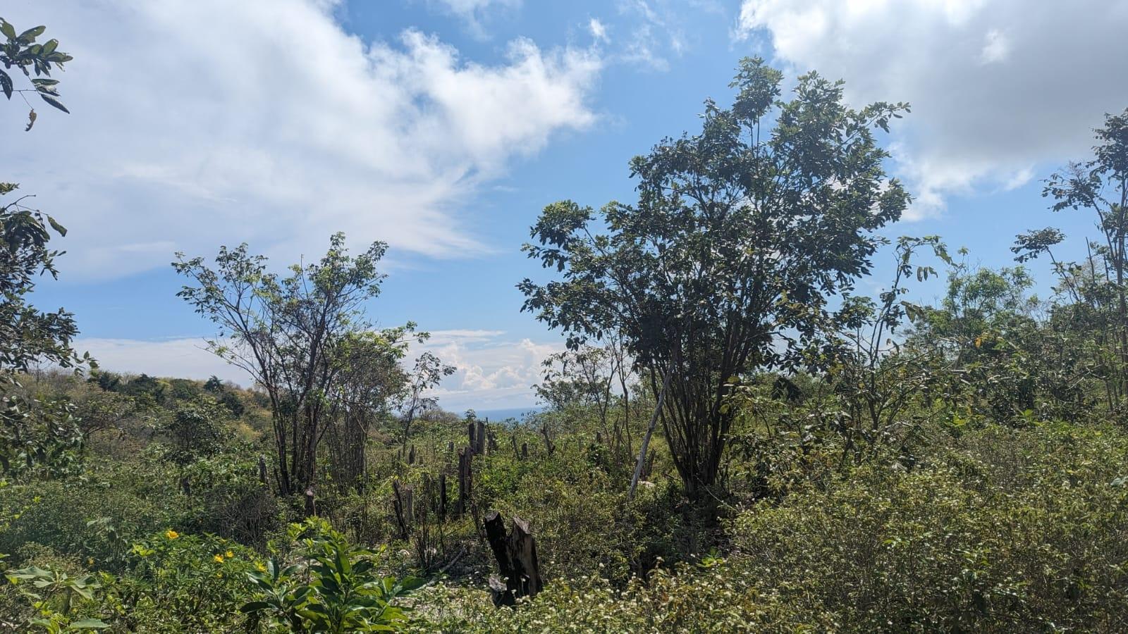 First image of 329 Green Park in Green Park, Trelawny, Jamaica - property is For Sale