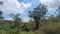 First image of 329 Green Park in Green Park, Trelawny, Jamaica - property is For Sale
