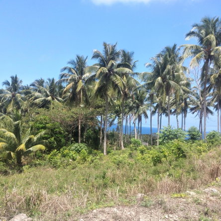 Second image of 25 Spring Valley, Ocean Ridg in Tower Isle, St. Mary, Jamaica - property is For Sale
