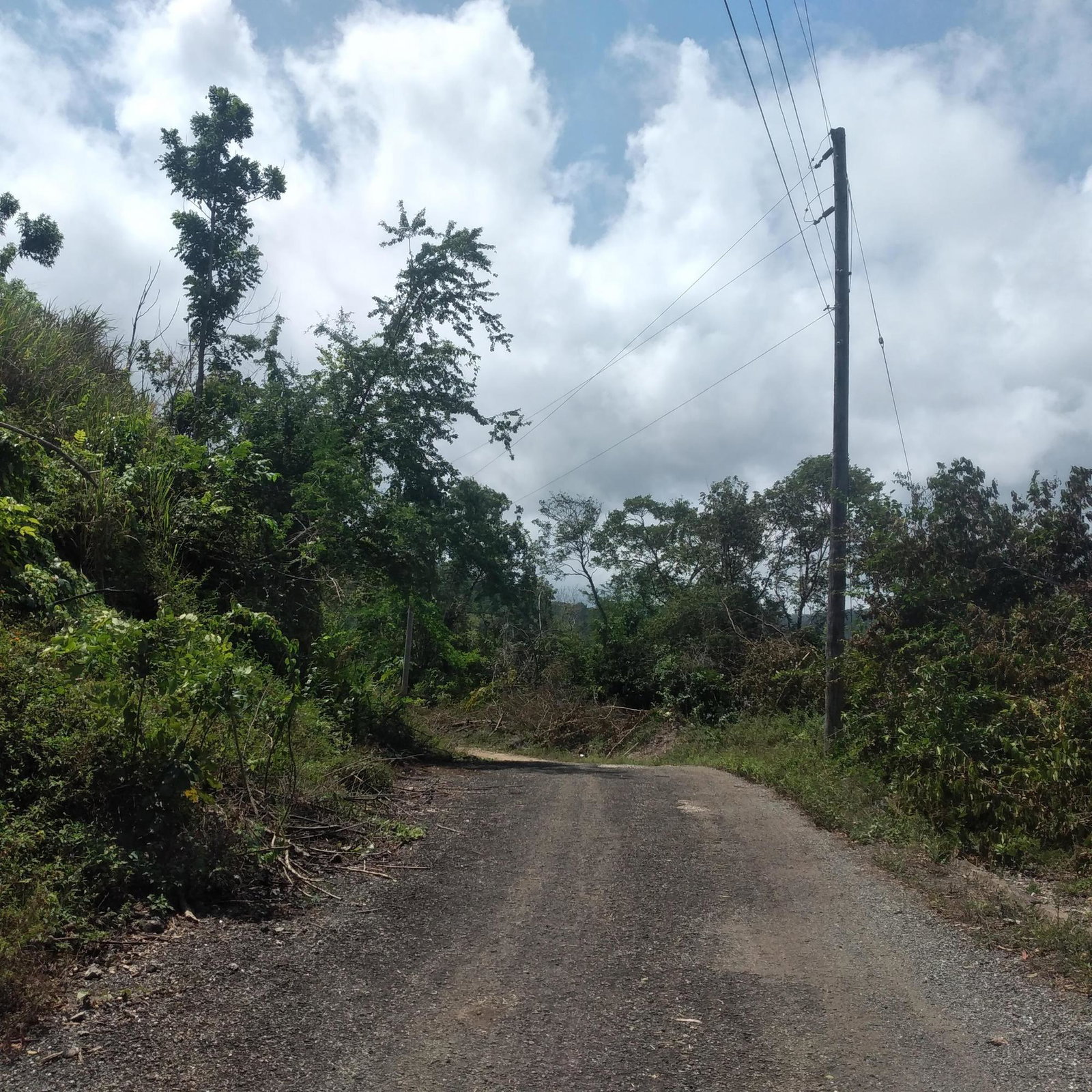 Fourth image of 25 Spring Valley, Ocean Ridg in Tower Isle, St. Mary, Jamaica - property is For Sale