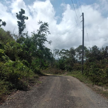 Fourth image of 25 Spring Valley, Ocean Ridg in Tower Isle, St. Mary, Jamaica - property is For Sale