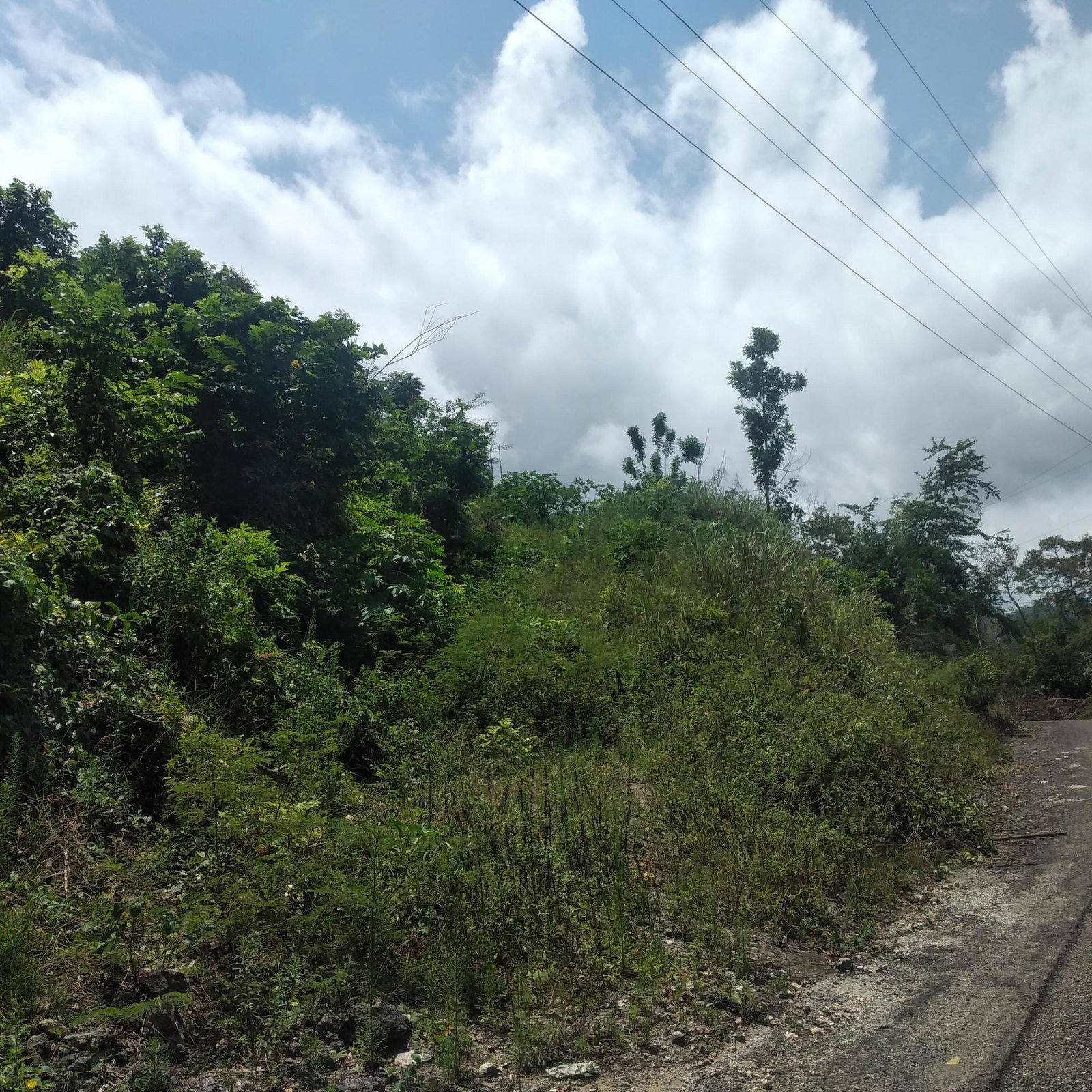 Sixth image of 25 Spring Valley, Ocean Ridg in Tower Isle, St. Mary, Jamaica - property is For Sale