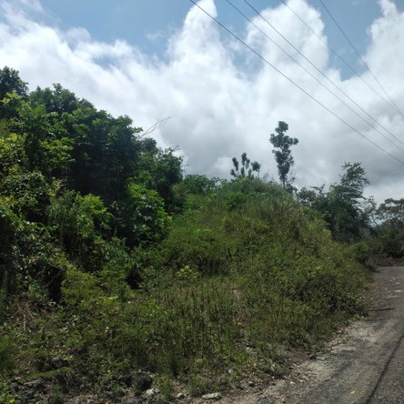 Sixth image of 25 Spring Valley, Ocean Ridg in Tower Isle, St. Mary, Jamaica - property is For Sale