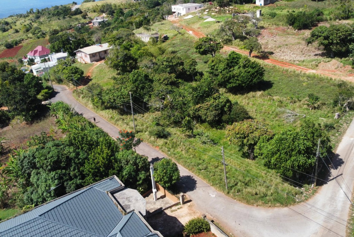 First image of Swaby Hope in Spur Tree, Manchester, Jamaica - property is For Sale