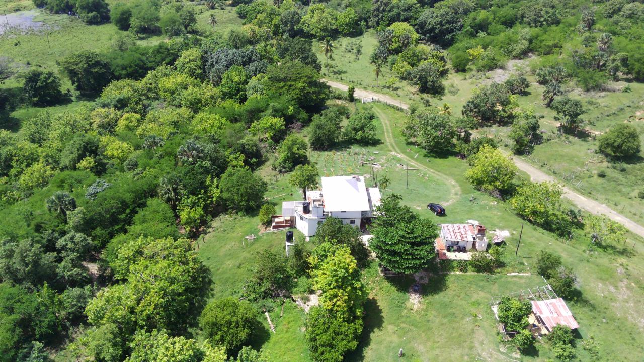 Twenty-Sixth image of 51 Cornwall in Lacovia, St. Elizabeth, Jamaica - property is For Sale