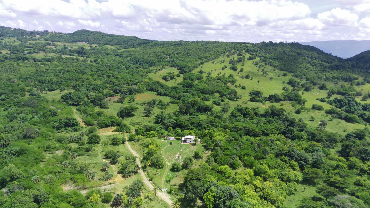Twenty-Eighth image of 51 Cornwall in Lacovia, St. Elizabeth, Jamaica - property is For Sale