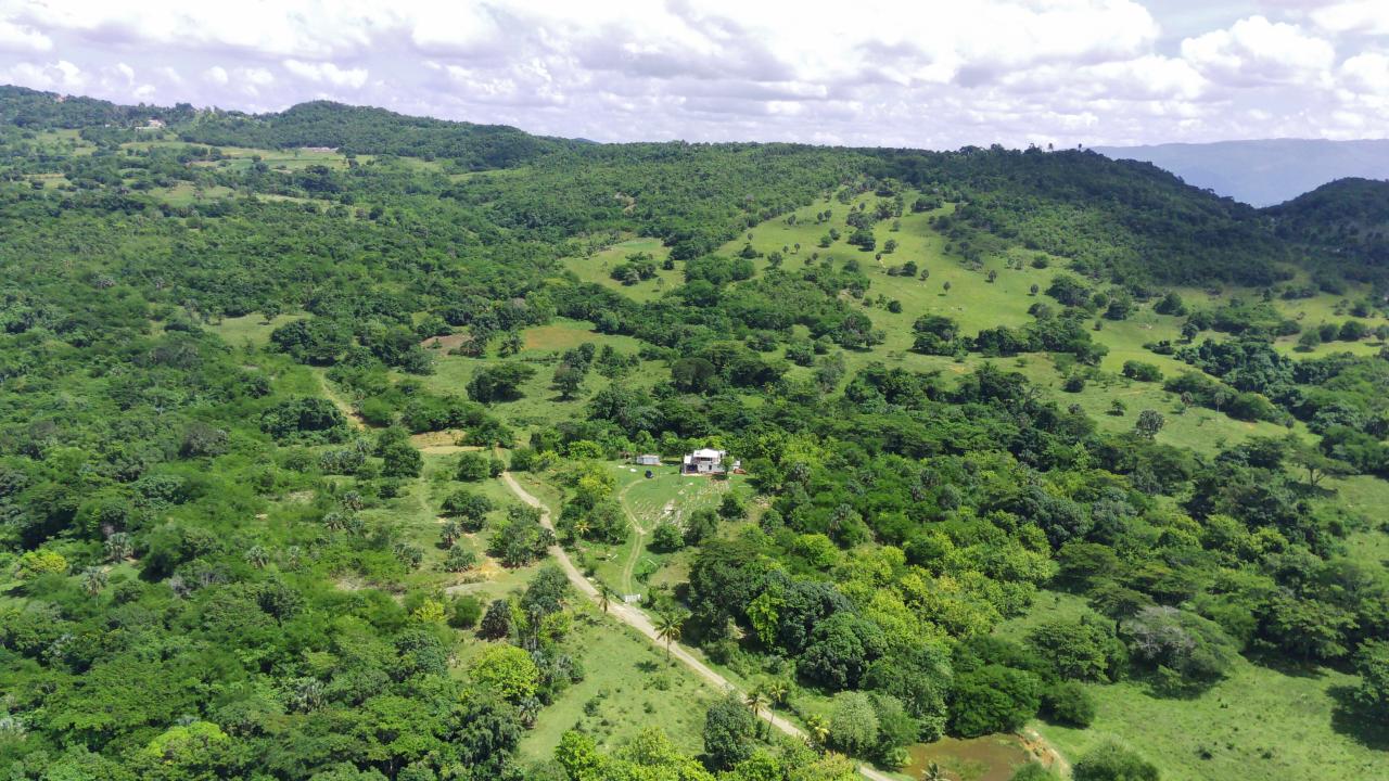 Twenty-Ninth image of 51 Cornwall in Lacovia, St. Elizabeth, Jamaica - property is For Sale
