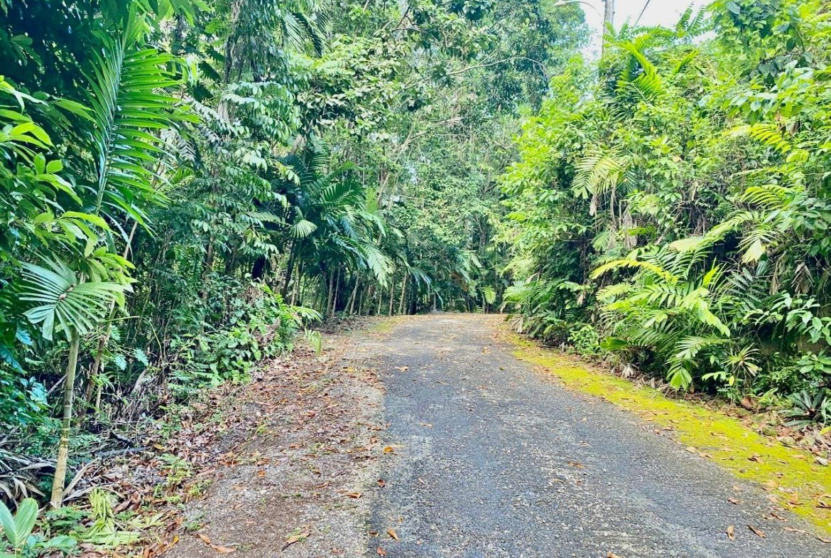 Second image of San San, Portland in Port Antonio, Portland, Jamaica - property is For Sale