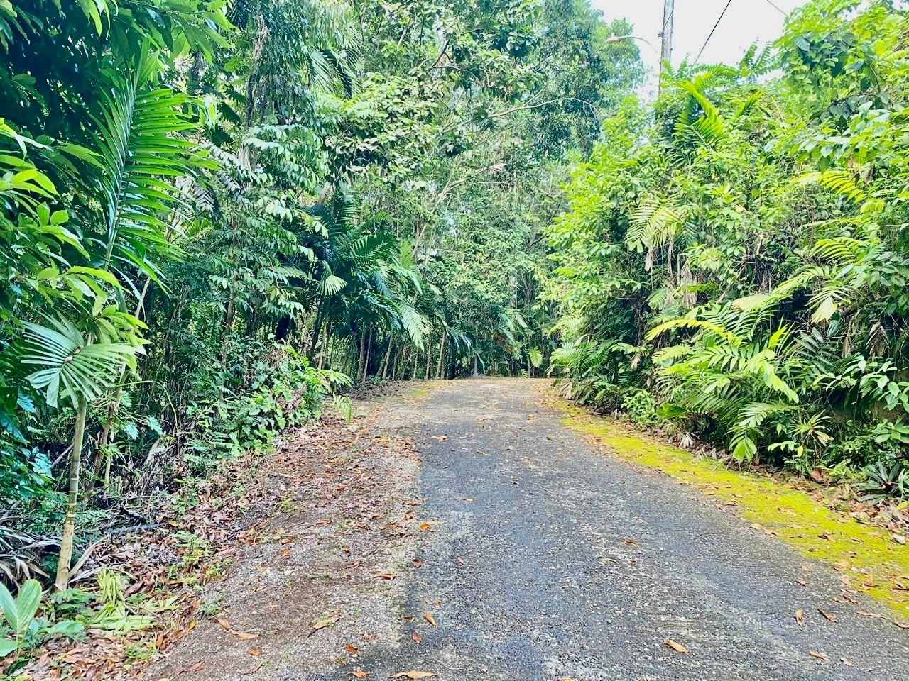 Second image of San San, Portland in Port Antonio, Portland, Jamaica - property is For Sale