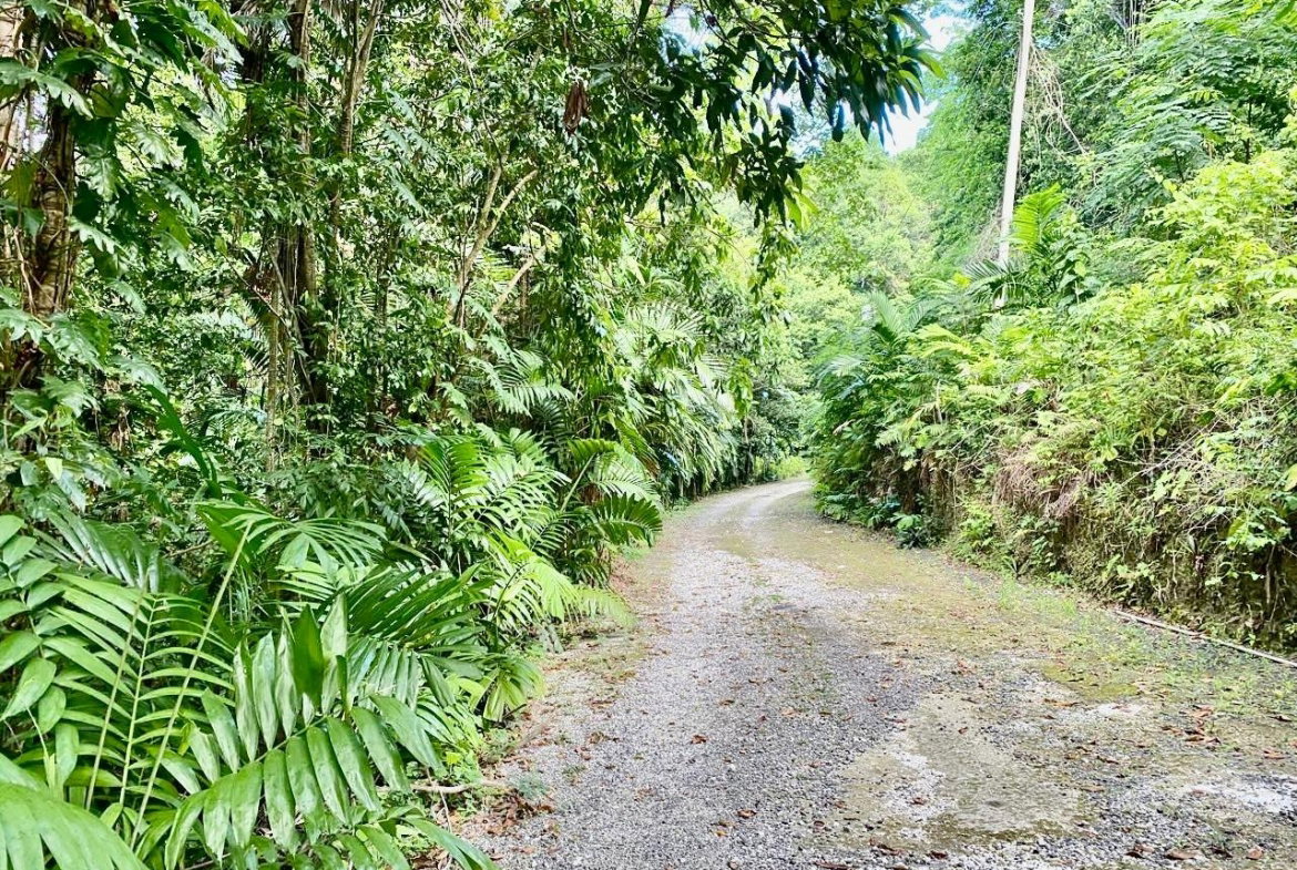 Eleventh image of San San, Portland in Port Antonio, Portland, Jamaica - property is For Sale