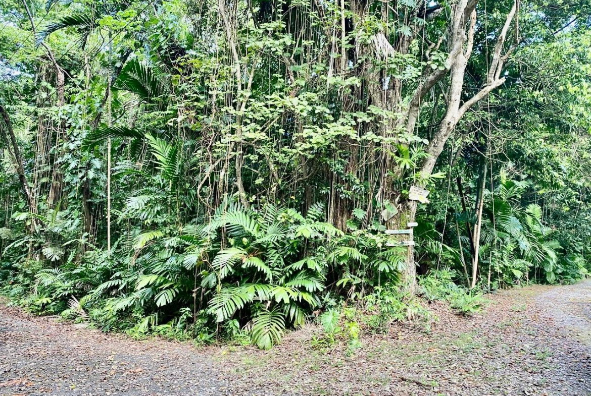 First image of San San, Portland in Port Antonio, Portland, Jamaica - property is For Sale