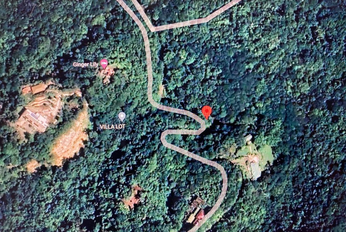 Twenty-Fifth image of San San, Portland in Port Antonio, Portland, Jamaica - property is For Sale