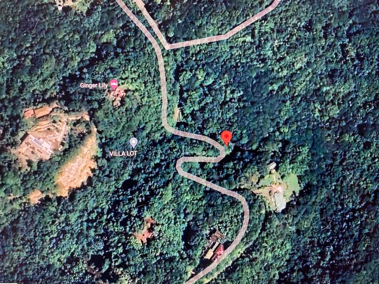 Twenty-Fifth image of San San, Portland in Port Antonio, Portland, Jamaica - property is For Sale