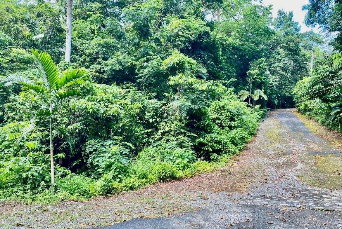 Fifth image of San San, Portland in Port Antonio, Portland, Jamaica - property is For Sale