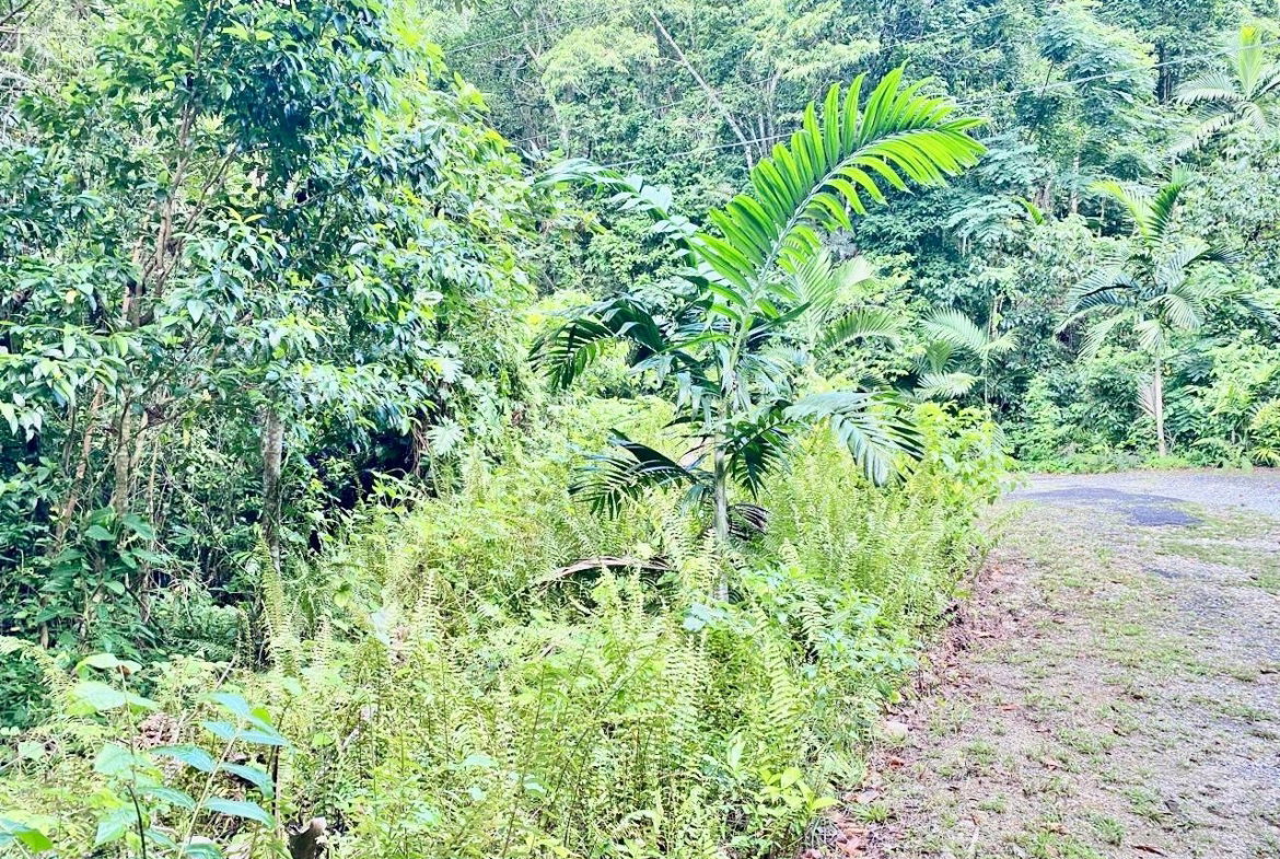 Tenth image of San San, Portland in Port Antonio, Portland, Jamaica - property is For Sale